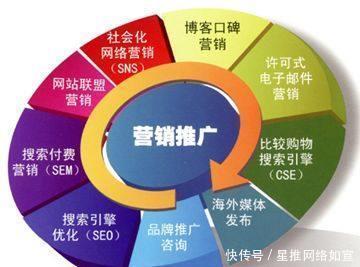 企業網絡推廣全攻略 從基礎搭建到高效服務的實戰指南